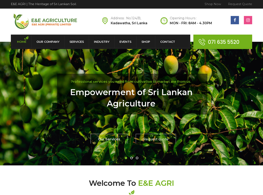 web design in sri lanka